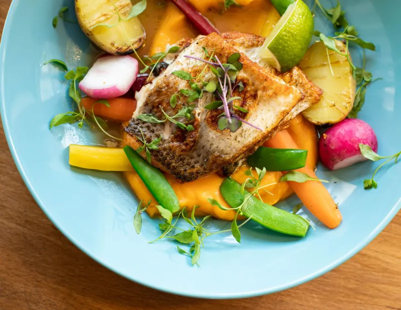 Anti-Inflammatory Eating: Separating Real Science from Wellness Noise